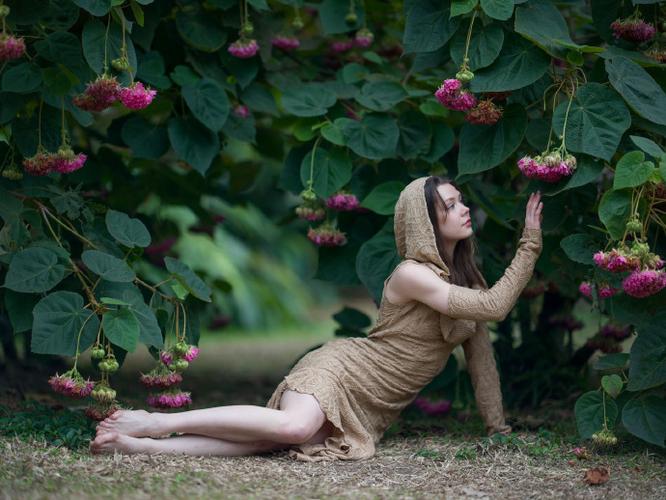 王者荣耀巅峰赛